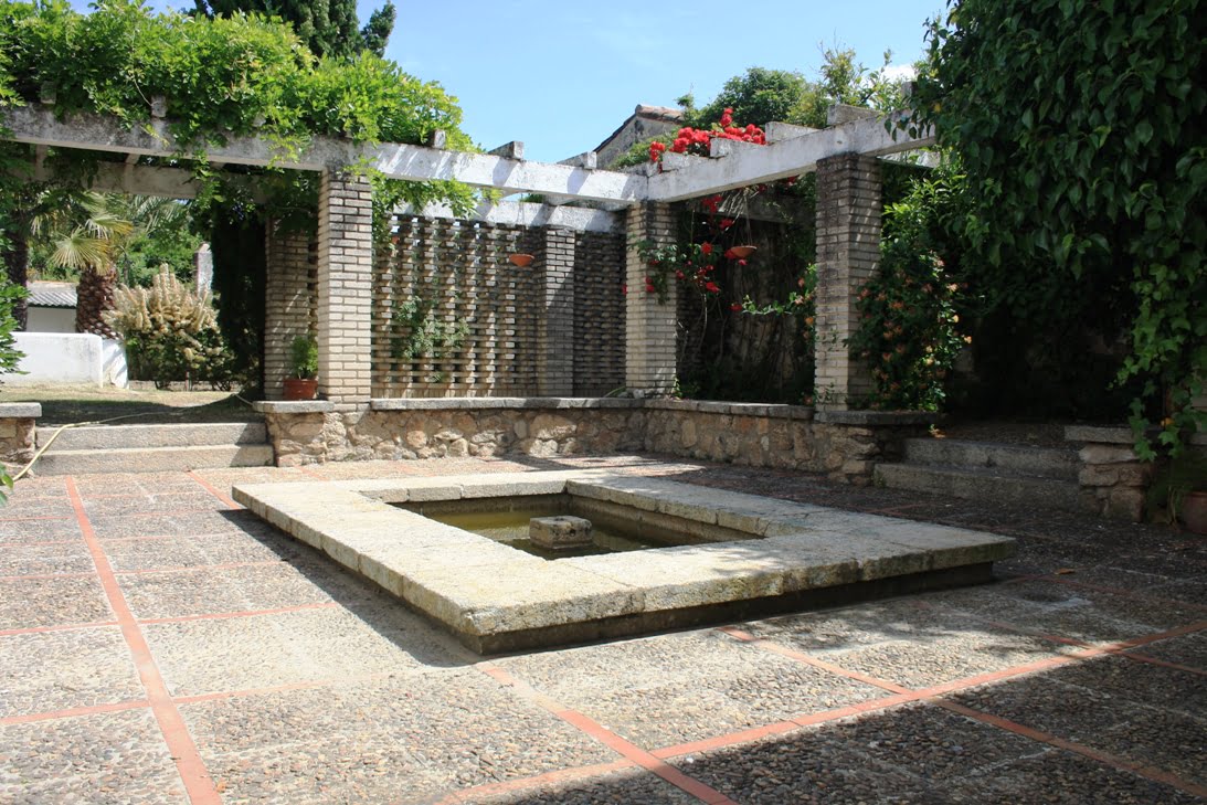 banner-image