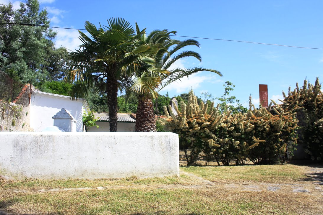 banner-image