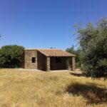Crece el interes por invertir en fincas rusticas