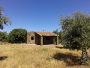 Crece el interes por invertir en fincas rusticas